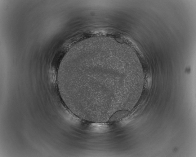 X0000096980477200802291150