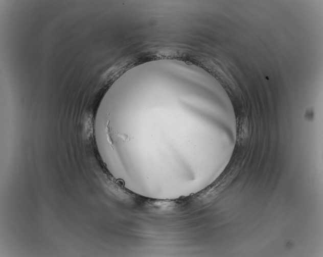 X0000096980478200802291150