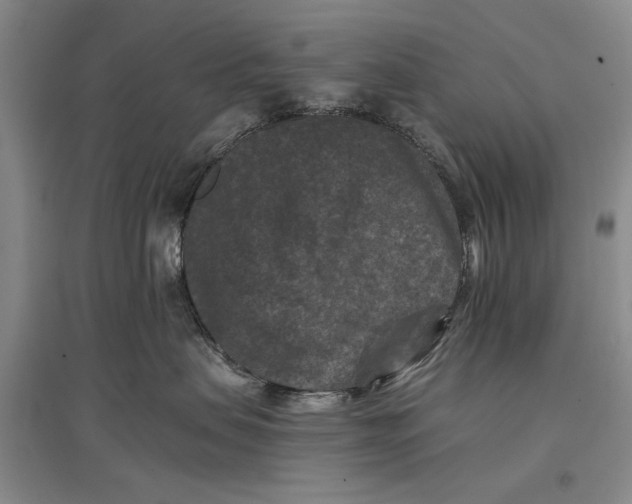 X0000096980479200802291150