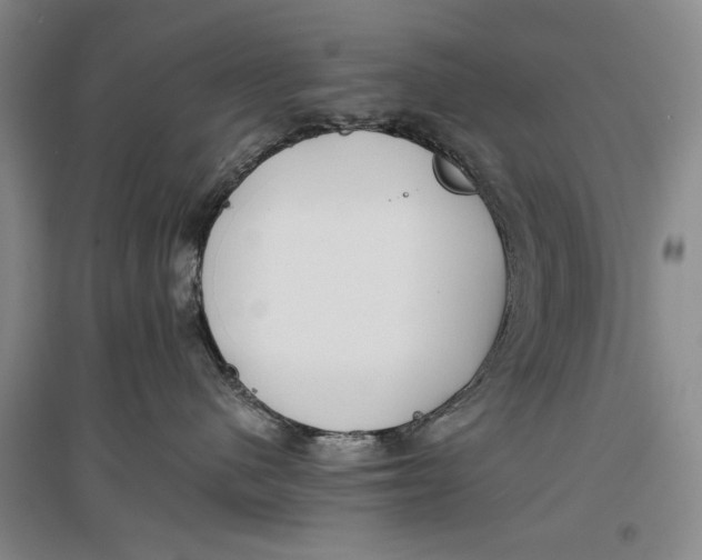 X0000096980480200802291150