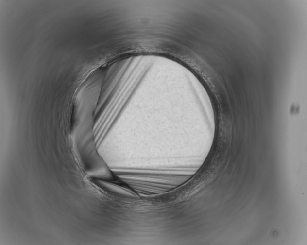 X0000096980481200802291149