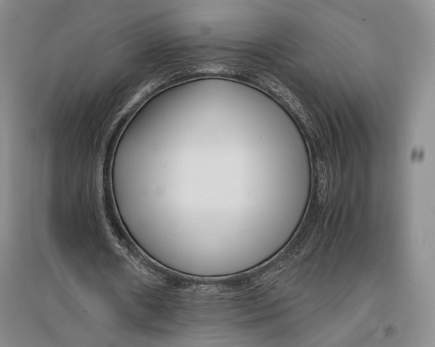 X0000096980482200802291149