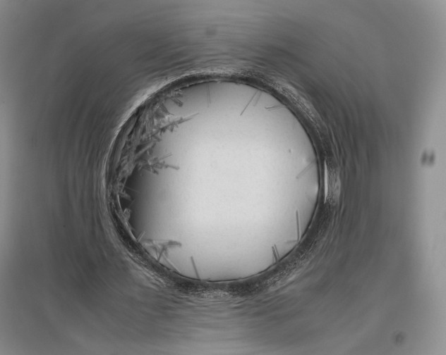 X0000096980483200802291149