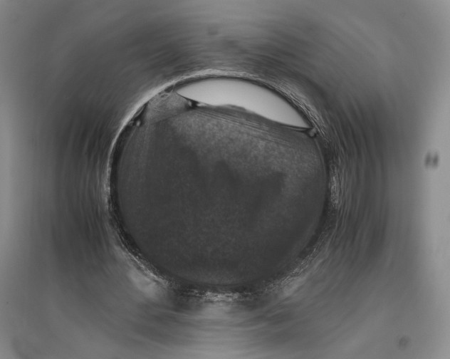 X0000096980484200802291149