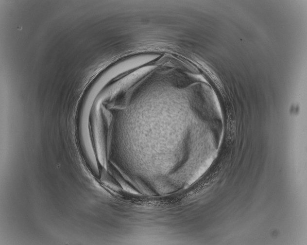 X0000096980485200802291149