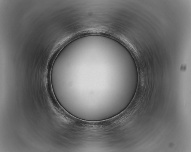 X0000096980486200802291149