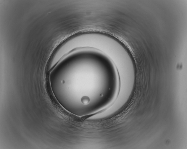 X0000096980487200802291149