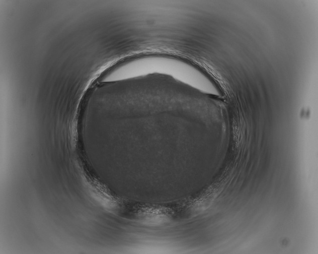 X0000096980488200802291149