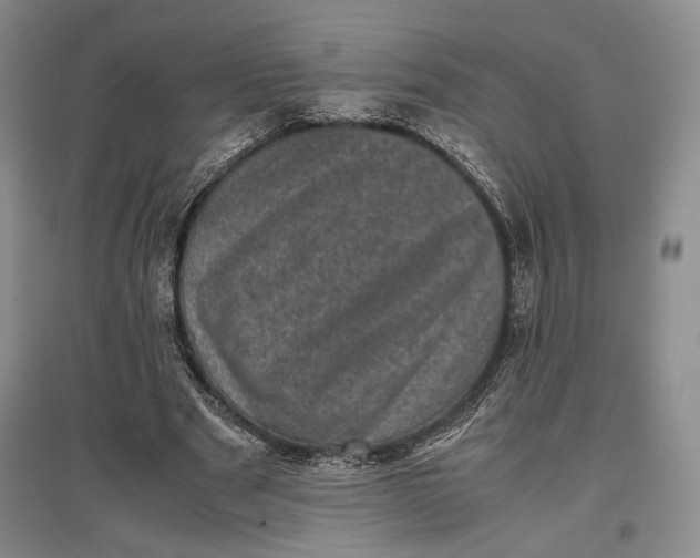 X0000096980489200802291149