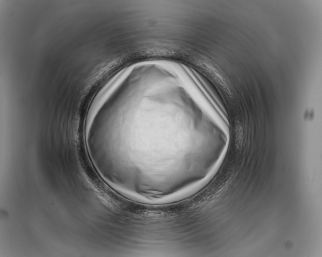 X0000096980490200802291149