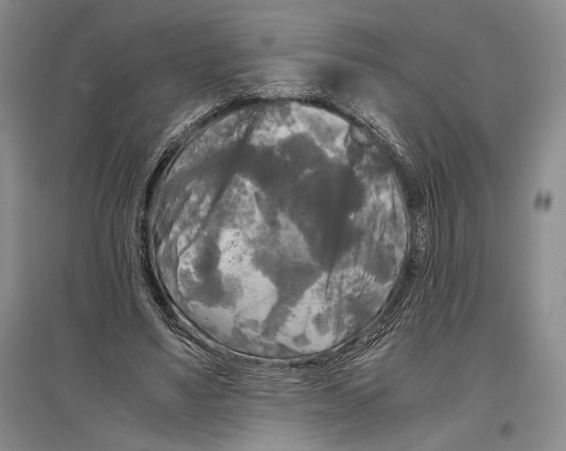 X0000096980491200802291149