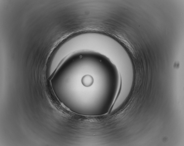 X0000096980492200802291149