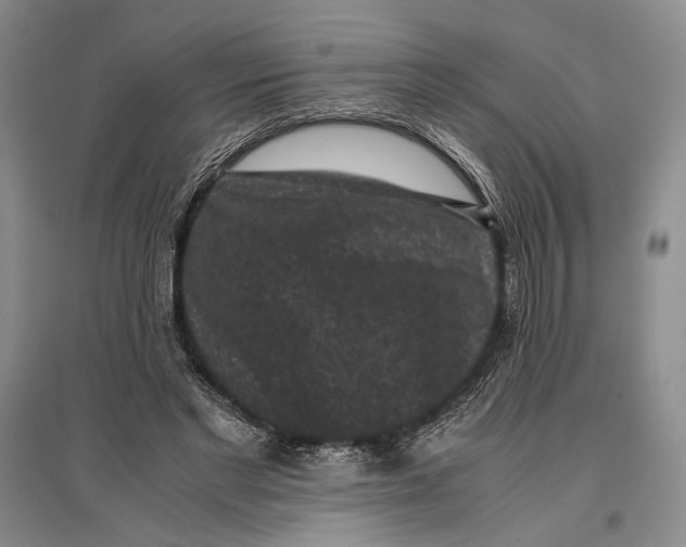 X0000096980493200802291149