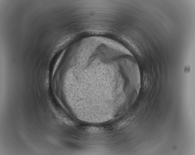 X0000096980494200802291149