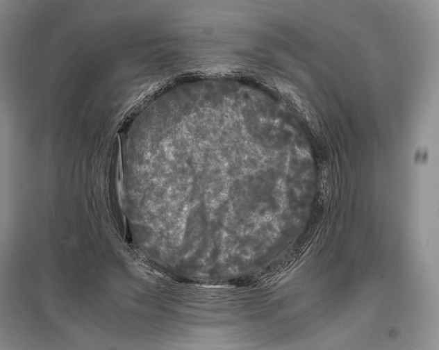 X0000096980495200802291149