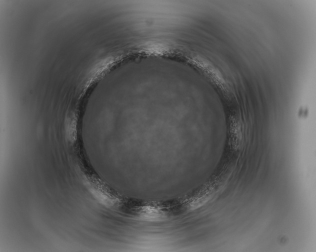 X0000096980496200802291149