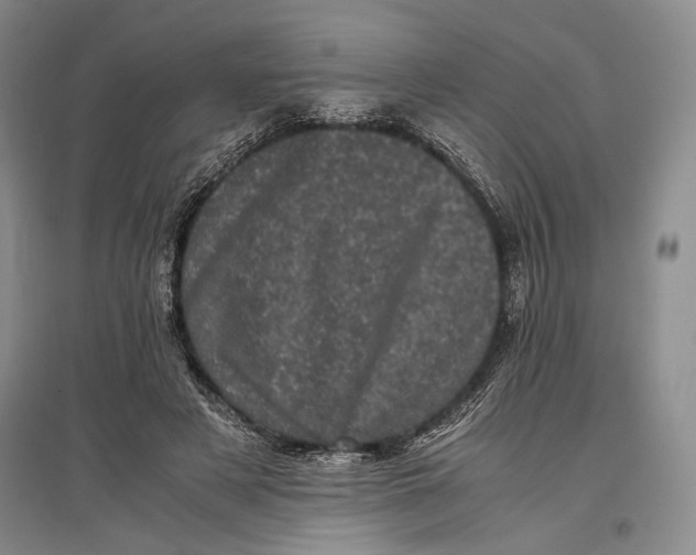 X0000096980497200802291149