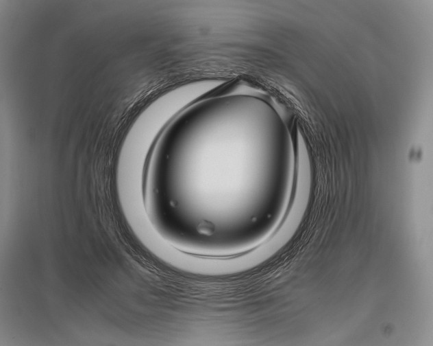 X0000096980499200802291149