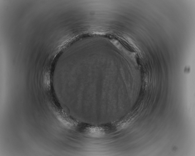 X0000096980500200802291149