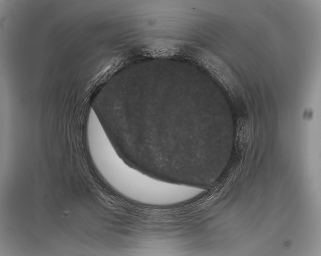 X0000096980501200802291149