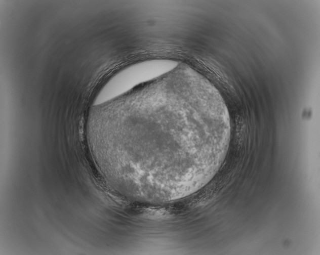 X0000096980502200802291149