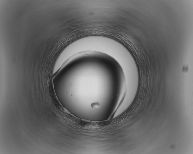 X0000096980503200802291149