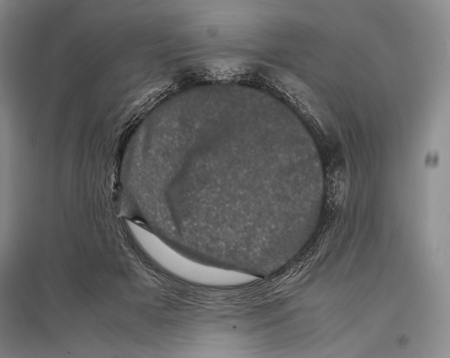 X0000096980505200802291149