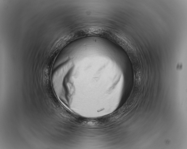 X0000096980506200802291149