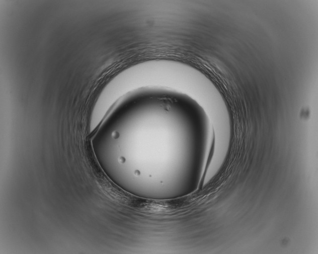 X0000096980507200802291149