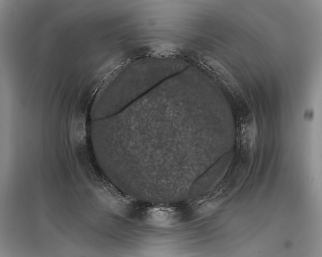 X0000096980508200802291149