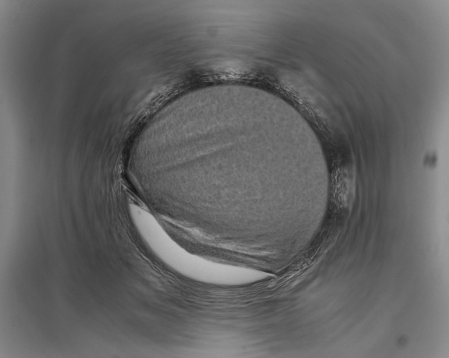 X0000096980509200802291149