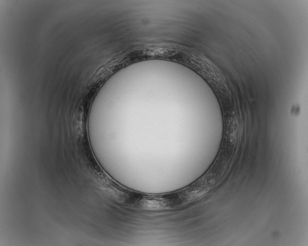 X0000096980510200802291149