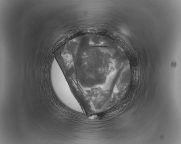 X0000096980511200802291149