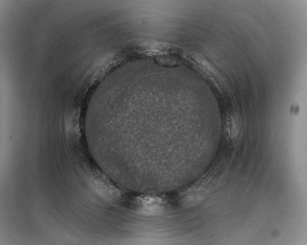 X0000096980512200802291149