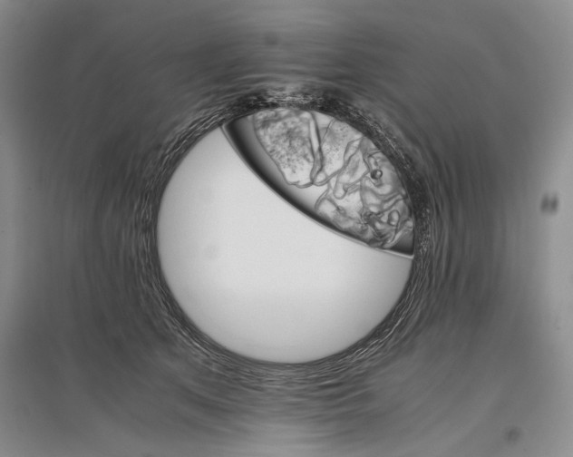 X0000096980513200802291149