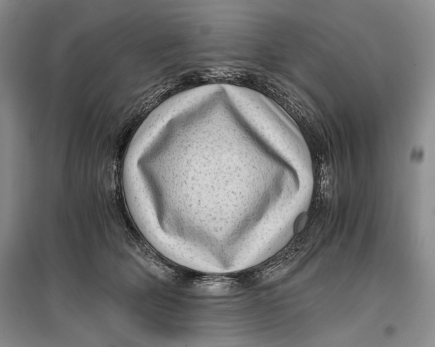 X0000096980514200802291149