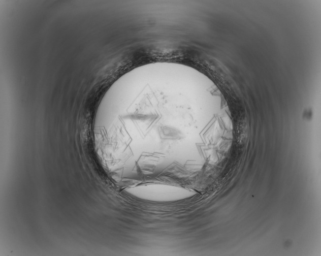 X0000096980515200802291149