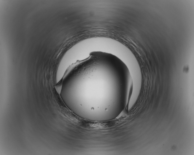 X0000096980516200802291149