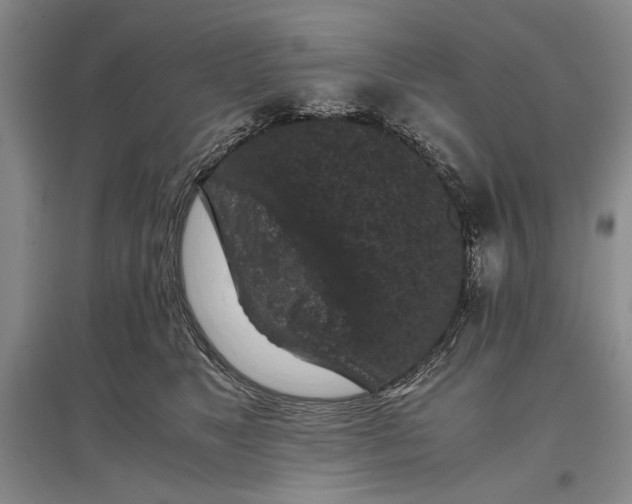 X0000096980517200802291149