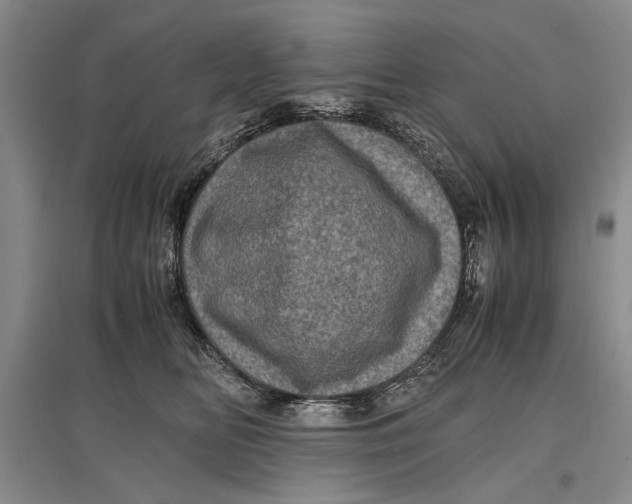 X0000096980518200802291149