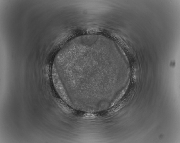 X0000096980519200802291149