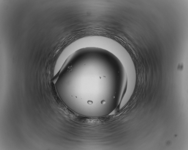 X0000096980520200802291149