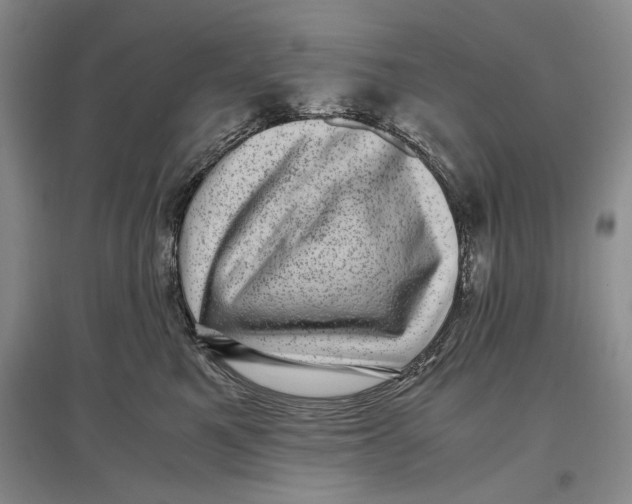 X0000096980521200802291149