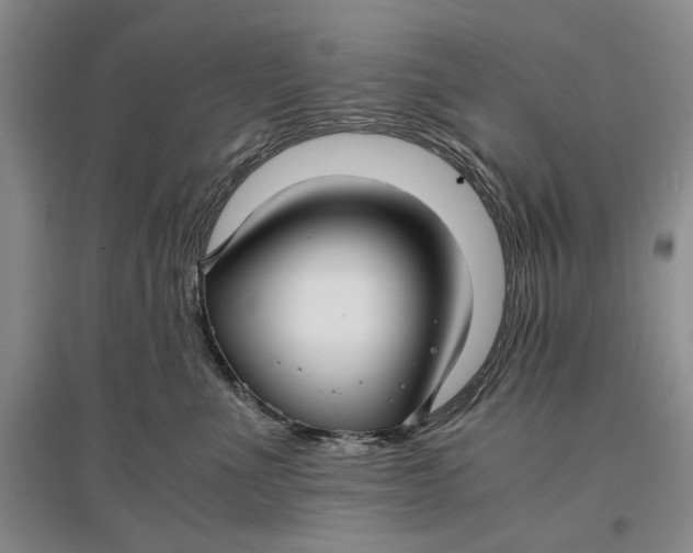 X0000096980523200802291149