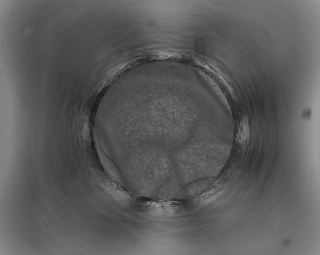 X0000096980524200802291149