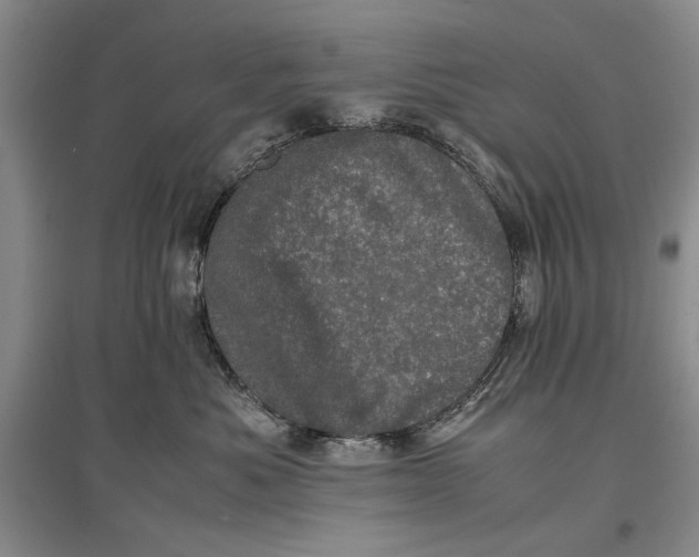 X0000096980525200802291149