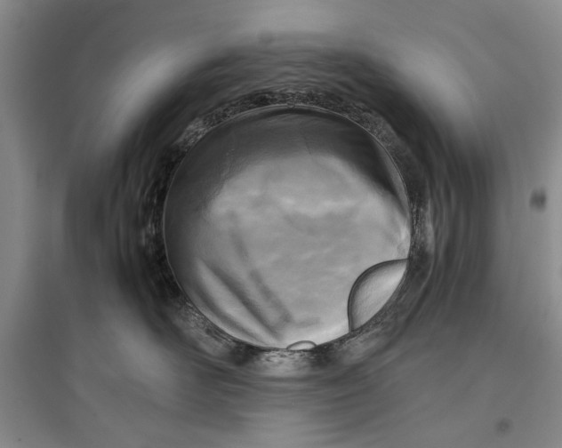 X0000096980526200802291149