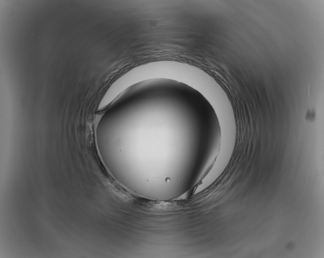 X0000096980527200802291149