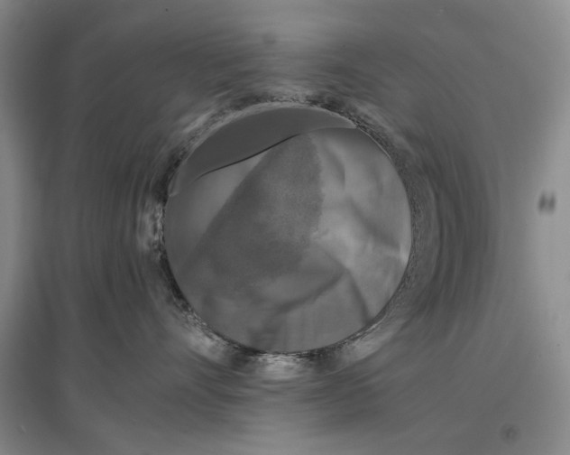 X0000096980528200802291149