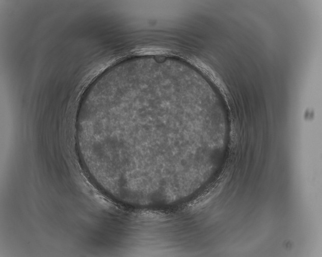 X0000096980529200802291148